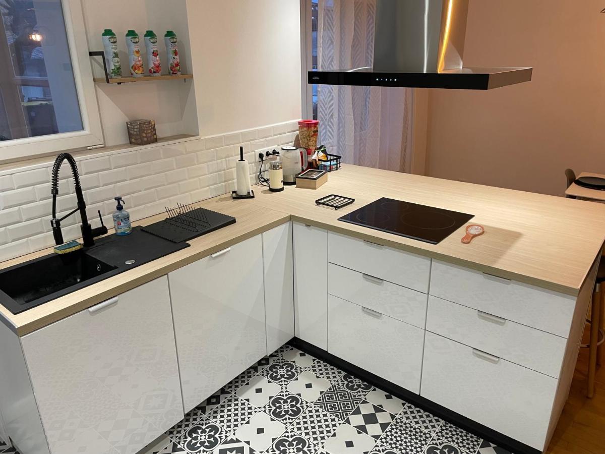 Appartement Du Lion Belfort Eksteriør bilde